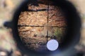 stump through a target scope