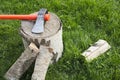 Stump with an splitting axe and firewood on the grass