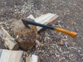 In the stump stuck a hatchet for splitting firewood. Royalty Free Stock Photo