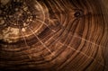 Stump of tree felled - section of the trunk with annual rings. Slice Oak wood. A very old saw cut from an oak tree Royalty Free Stock Photo