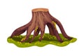 Stump or Tree Stub with Roots Covered with Green Moss as Forest Element Vector Illustration