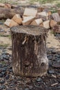 A stump on which firewood is cut in the village yard