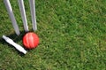 Stumps, Bail and Ball