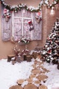 Stumps path leeds to Christmas tree