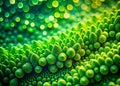 Stunning Abstract Green Website Background Patterns Explore Macro Photography Textures for Modern Web Design