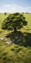 Stunning Aerial 3d Rendering Of Ancient Tree In Desert Field