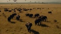Elephant herd grazing on a savannah watched over by an eagle in flight captured through aerial film created with Generative AI