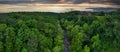 A stunning aerial panoramic shot of vast miles of lush green trees and the Big Creek river flowing through the trees Royalty Free Stock Photo