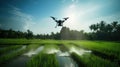 Aerial View of Irrigation: Drone Flying Over Green Farmland