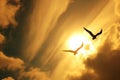 Stunning Aerial Shot of Majestic Birds Soaring Gracefully in the Radiant Skies at Daybreak, Abstract