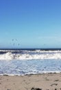 birds flying over the ocean waves with a beach scene in the background Royalty Free Stock Photo