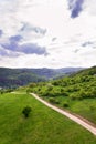 Stunning aerial view of field road between meadows and orchard wit colorful summer mixed forest in background Royalty Free Stock Photo