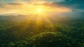 Stunning aerial view of a lush green jungle forest landscape at sunrise/sunset.