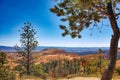 Stunning aerial view of majestic cliffs and lush trees in Bryce Canyon National Park, Utah Royalty Free Stock Photo