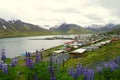 Stunning aerial view of the residential area in the town along the fjord in the summer near Siglufjordur, Iceland