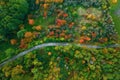 Stunning aerial view of road with cars between colorful autumn forest. Royalty Free Stock Photo