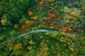 Stunning aerial view of road with cars between colorful autumn forest. Royalty Free Stock Photo