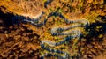 Stunning aerial view of road with curves crossing dense forest in autumn colors. Aerial view, drone view Royalty Free Stock Photo