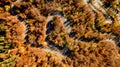 Stunning aerial view of road with curves crossing dense forest