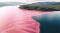 Aerial view of pink lake