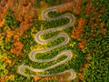 Aerial view of winding road through autumn colored forest Royalty Free Stock Photo
