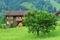 Stunning alpine landscape in canton Uri, Switzerland