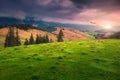 Stunning alpine pasture with misty mountains at sunset, Transylvania, Romania Royalty Free Stock Photo