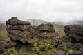 Stunning another planet looking like rocky terrain of mount Roraima