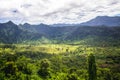 A stunning areal view with palms in tropical Samoa, Upolu, Pacific