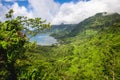 A stunning areal view with palms in tropical Samoa, Upolu, Pacific