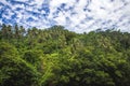 A stunning areal view with palms in tropical Samoa, Upolu, Pacific