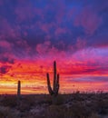 Stunning Arizona Desert Sunset Landscape