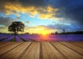 Stunning atmospheric sunset over vibrant lavender fields in Summer with wooden planks floor Royalty Free Stock Photo