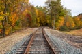 Deserted Railroad line lined with colourful deciduos trees in autumn