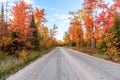 Stunning autumn colours along an unpaved forest road