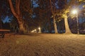 Stunning autumn evening in Lake Balaton. Picturesque view of Plane-tree alley with illumination Royalty Free Stock Photo