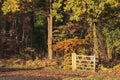 Stunning Autumn Fall forest scene with colorful vibrant Autumnal colors in the trees Royalty Free Stock Photo