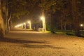 Stunning autumn landscape in Lake Balaton. Picturesque view of Plane-tree alley with illumination Royalty Free Stock Photo