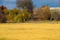 A stunning autumn landscape in the park with gorgeous autumn colored trees, plants and grass with a woman walking