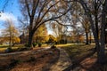 A stunning autumn landscape in the park with grass covered with fallen autumn leaves and gorgeous autumn colored trees