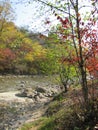 Stunning autumn landscape on the river among the forest. Russia, Kabardino-Balkaria, Nalchik, Atazhukinsky garden
