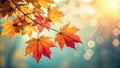 Stunning Autumn Leaves Branch Sunlight Bokeh Background Image