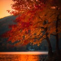 Fiery Maple Tree at Sunset