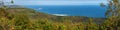 Stunning autumn Pacific Coast panorama seascape: waves in ocean, shore overgrown forest