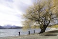 Stunning Autumn tree near the beautiful lake with mountain background in South island, New Zealand.