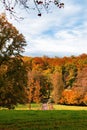 Stunning autumnal landscape with bright colorful trees in the lush forest. Royalty Free Stock Photo