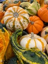 Stunning autumnal selection of vibrant pumpkins piled together on the ground Royalty Free Stock Photo
