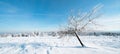 Stunning background panorama of snowy frozen landscape snowscape with blue sky and trees in winter in Black Forest Germany Europe Royalty Free Stock Photo