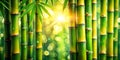 Stunning Bamboo Clip Art: Eco-Friendly Design Elements for Nature Projects, Backgrounds, and Environmental Graphics Royalty Free Stock Photo