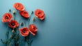 Red Poppy Flowers on Blue Banner for Remembrance, Memorial, ANZAC Day Tribute